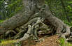 Nationalparks der Slowakei Nationalparks der Slowakei