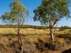 Devin Landschaft