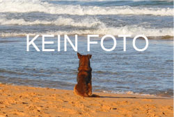 Urlaubstipps und Trends in der Slowakei Urlaubstipps und Trends in der Slowakei