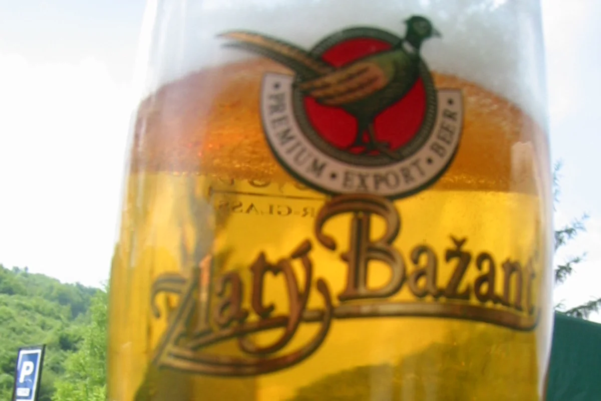 Glas Zlatý Bažant, eine bekannte slowakische Biermarke
